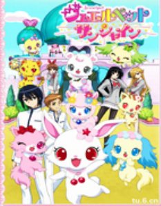 宝石宠物SunShine