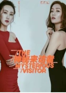 神秘来访者