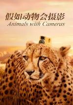 假如动物会摄影