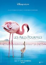 红色翅膀:火烈鸟故事