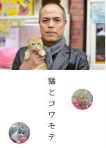 猫和凶相大叔2