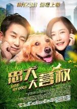 忠犬大营救