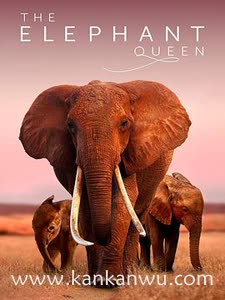 大象女王