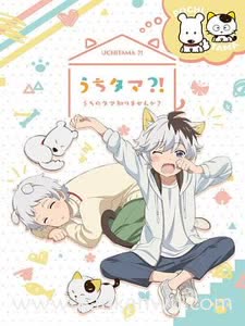 家有圆圆？！～我家的圆圆你知道吗？～