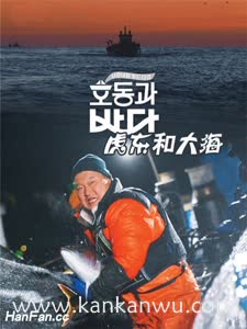 虎东和大海