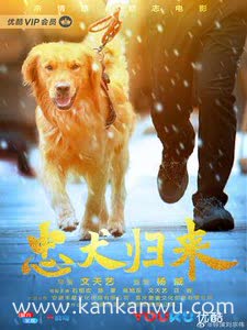 忠犬归来