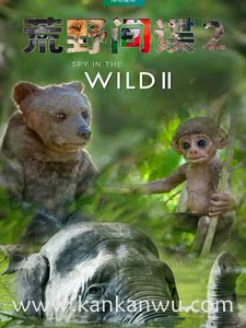 荒野间谍第二季