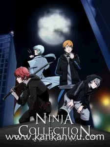 忍者收藏