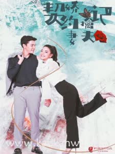 契约娇妻擒夫记