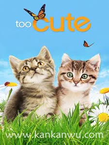 萌宠成长记第一季