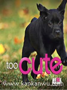 萌宠成长记第二季