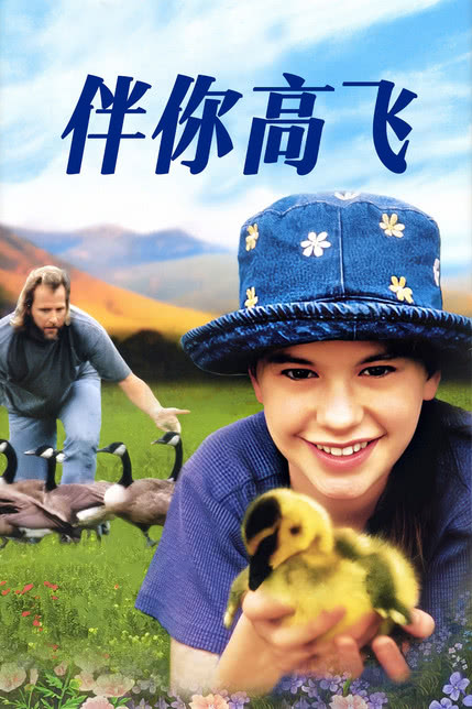 伴你高飞1998