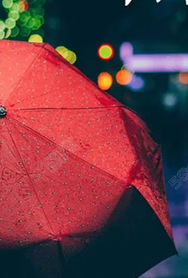 末代独裁 The Last King of Scotland