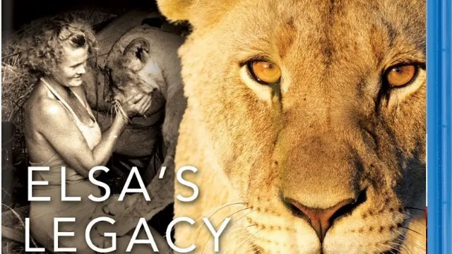 PBS:自然 - 艾尔莎的遗产:生而自由的故事