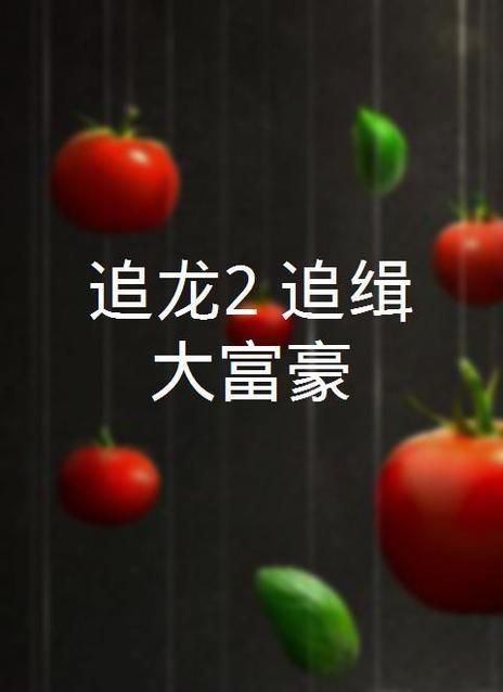 追龙2：追缉大富豪