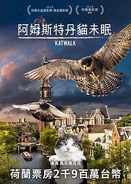 阿姆斯特丹猫未眠