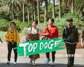 TOP DOG(综艺)