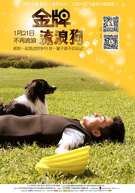 点击播放《金牌流浪狗》