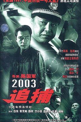 追捕2003(国产剧)