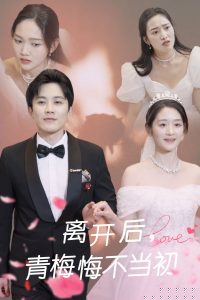 离开后青梅悔不当初(海外剧)