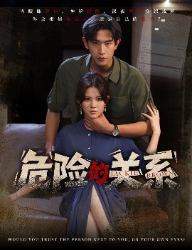 危险的关系(海外剧)