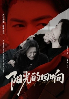 阳光的回响(海外剧)