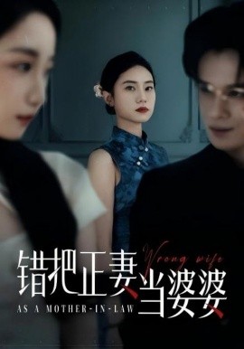 错把正妻当婆婆(海外剧)