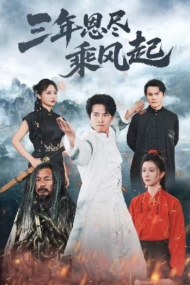 三年恩尽乘风起(海外剧)