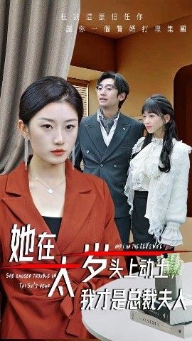她在太岁头上动土,我才是总裁夫人(海外剧)