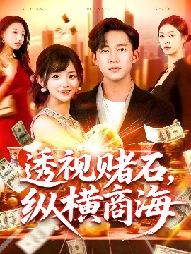 透视赌石纵横商海(海外剧)