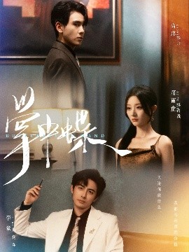 掌中蝶(海外剧)