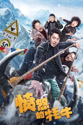 愤怒的牦牛(剧情片)