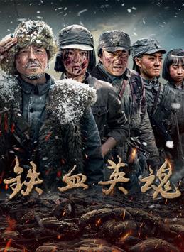 铁血英魂(国产剧)