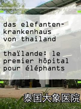 泰国大象医院(剧情片)