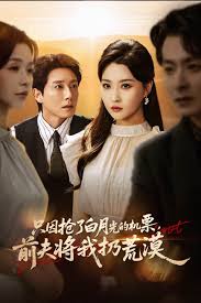 只因抢了白月光的机票前夫将我扔荒漠(海外剧)