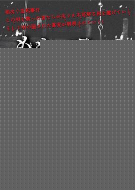 桃之歌(日本剧)