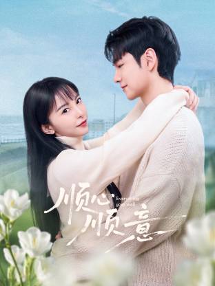 顺心顺意(国产剧)