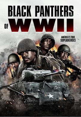 二战黑豹(战争片)