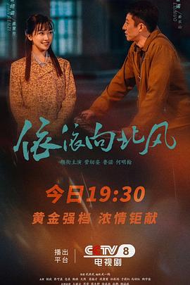 依依向北风(国产剧)