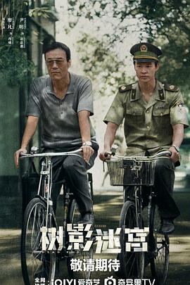 树影迷宫(国产剧)