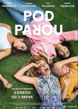 酒精计划2025(喜剧片)