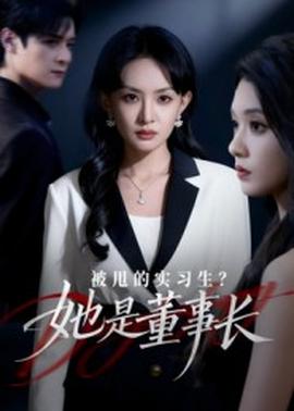 被甩的实习生?她是董事长!(海外剧)