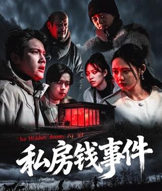 私房钱事件(剧情片)
