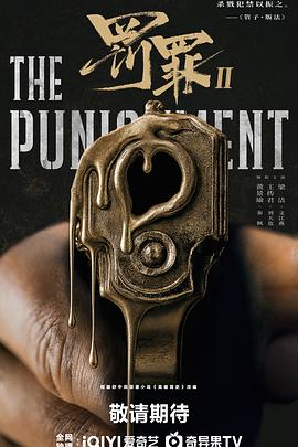 罚罪2(国产剧)