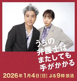 我家的律师又惹麻烦了(剧情片)