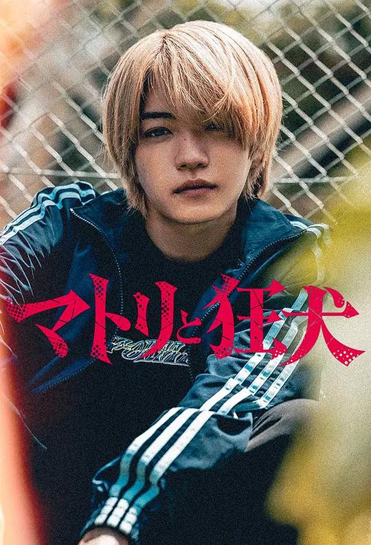 缉毒警与疯犬(日本剧)