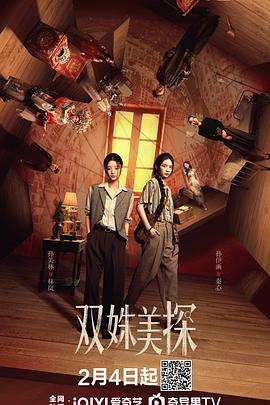 双姝美探(国产剧)