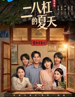 二八杠的夏天(国产剧)