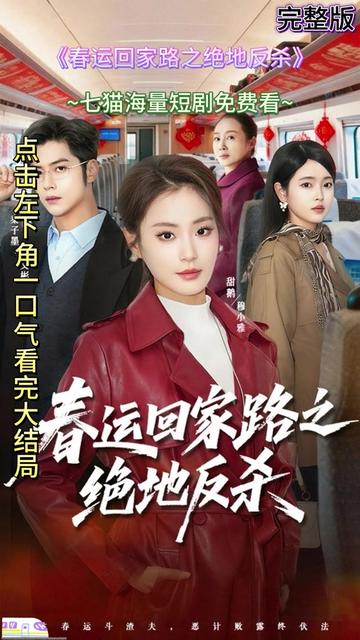 春运回家路之绝地反杀(海外剧)
