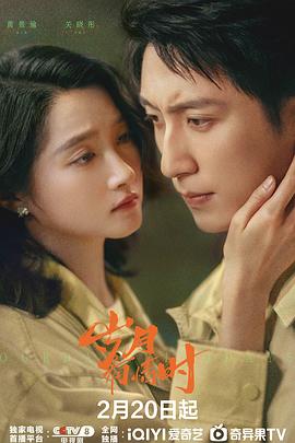 岁月有情时(国产剧)